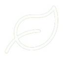 leaflet-icon-removebg.png