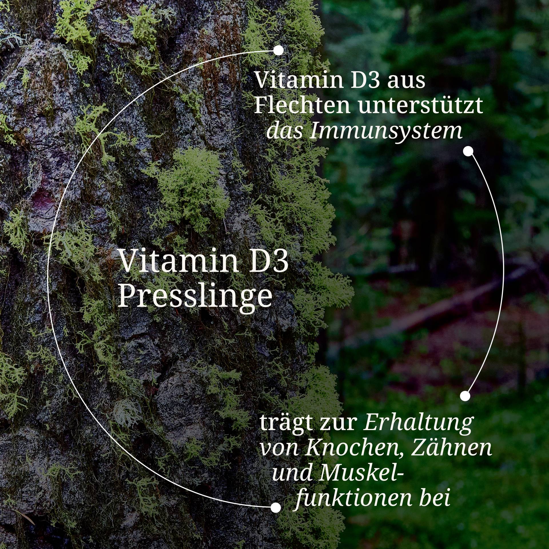 Vitamin D3 Presslinge.jpg