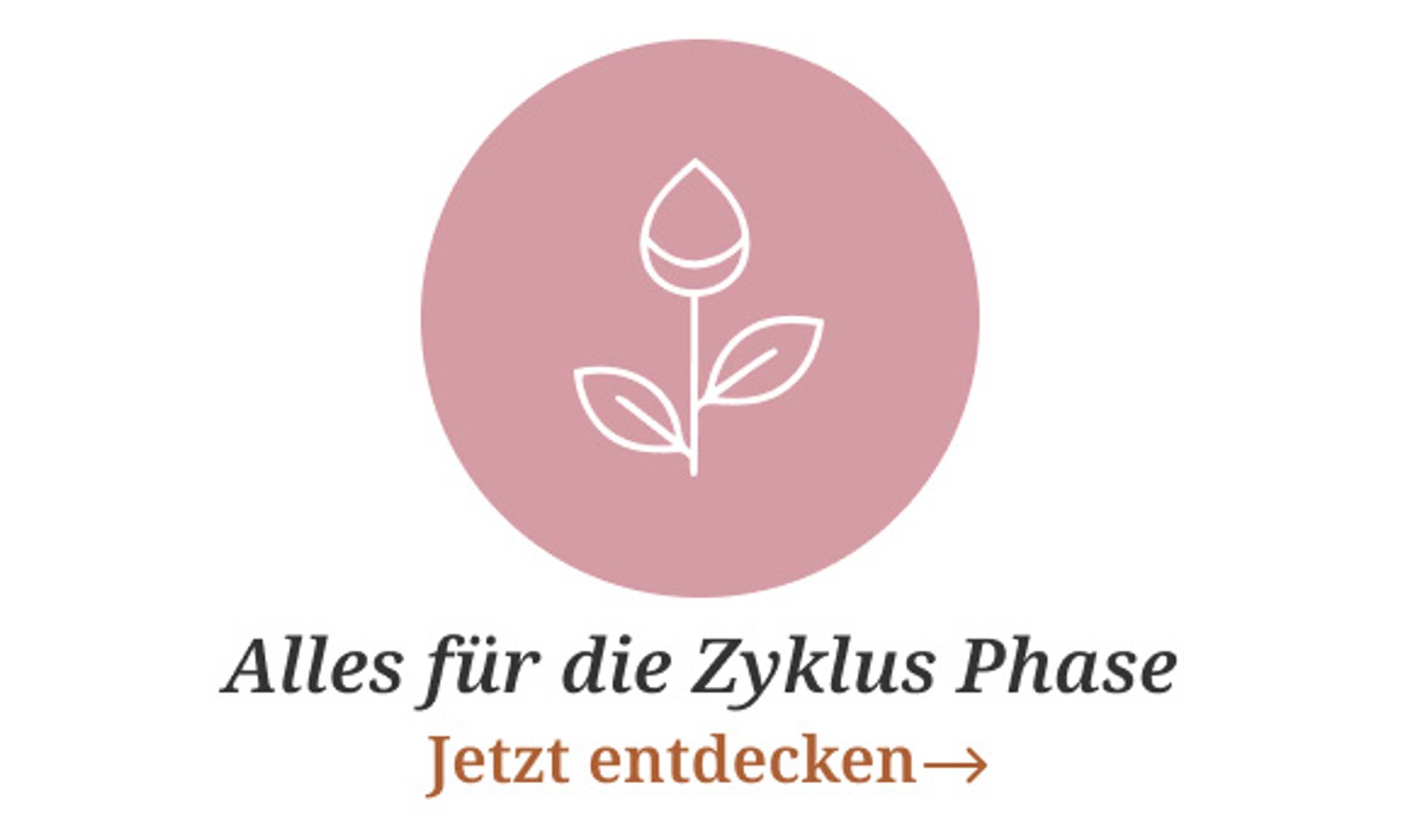 Zyklus Phase.png