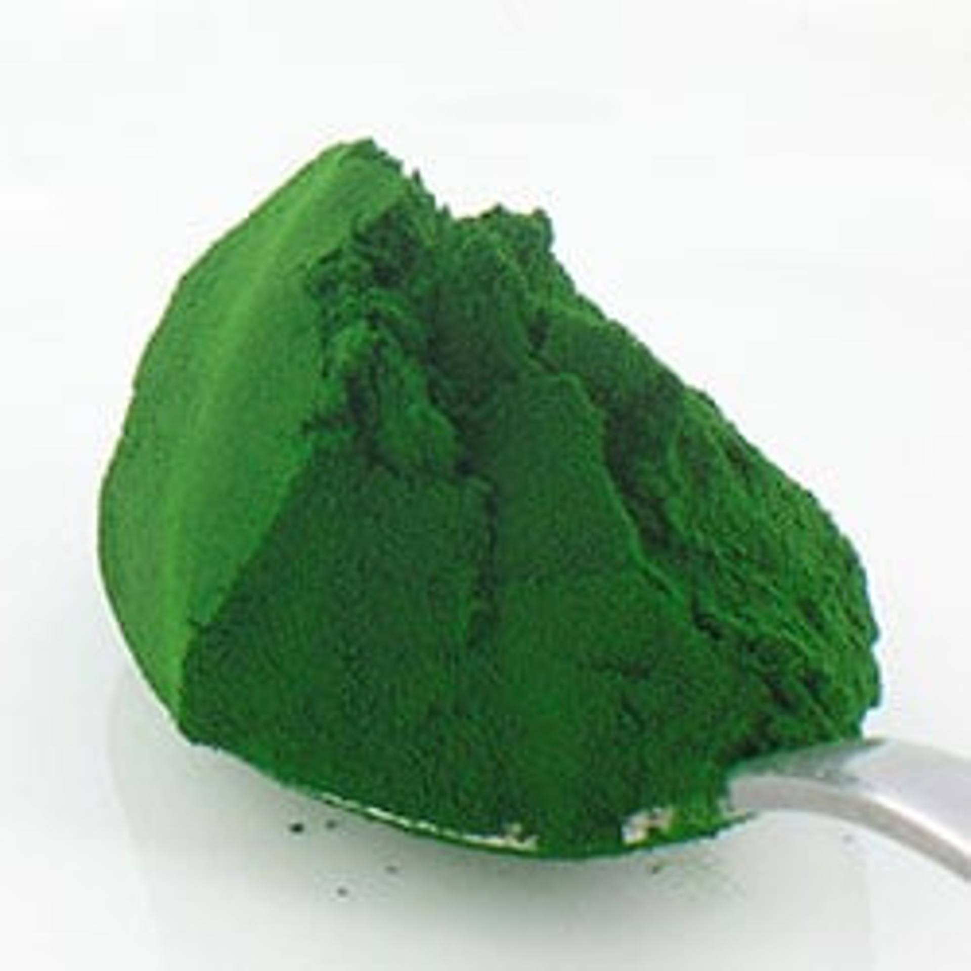 Chlorella.jpg