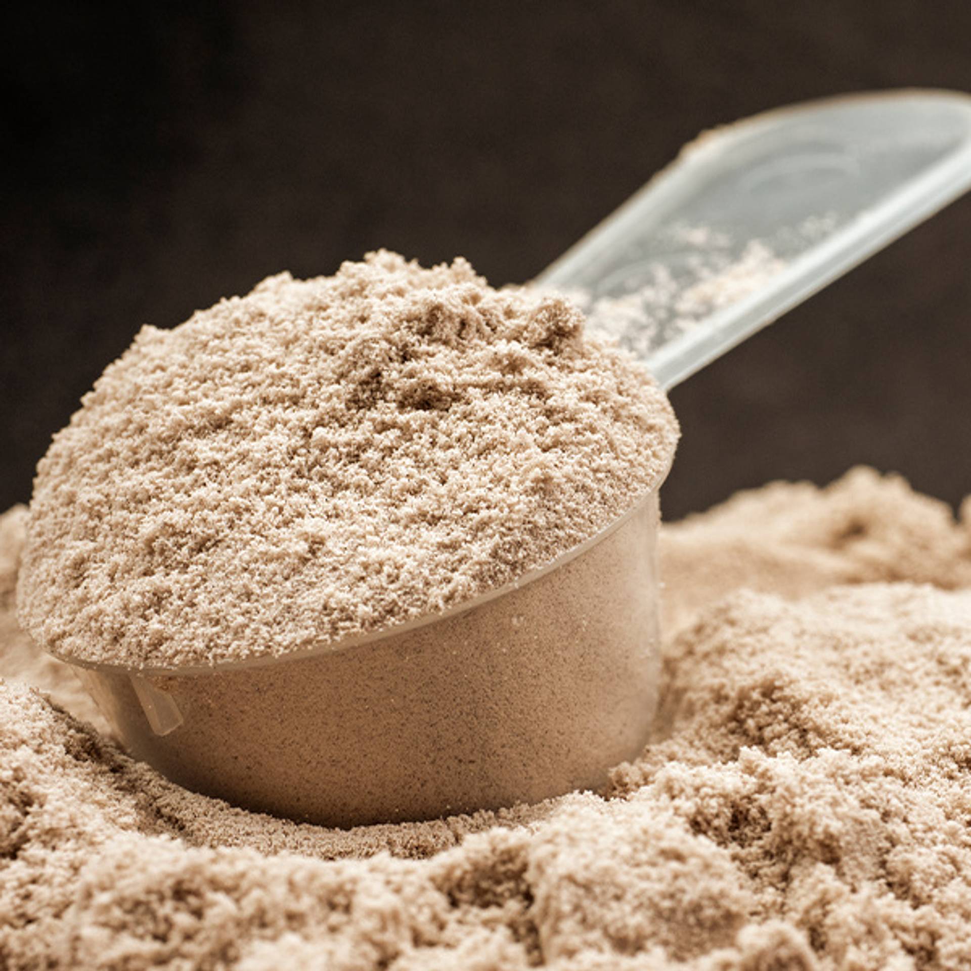 VE_Kategoriebilder_Whey-Protein_600x600px.jpg