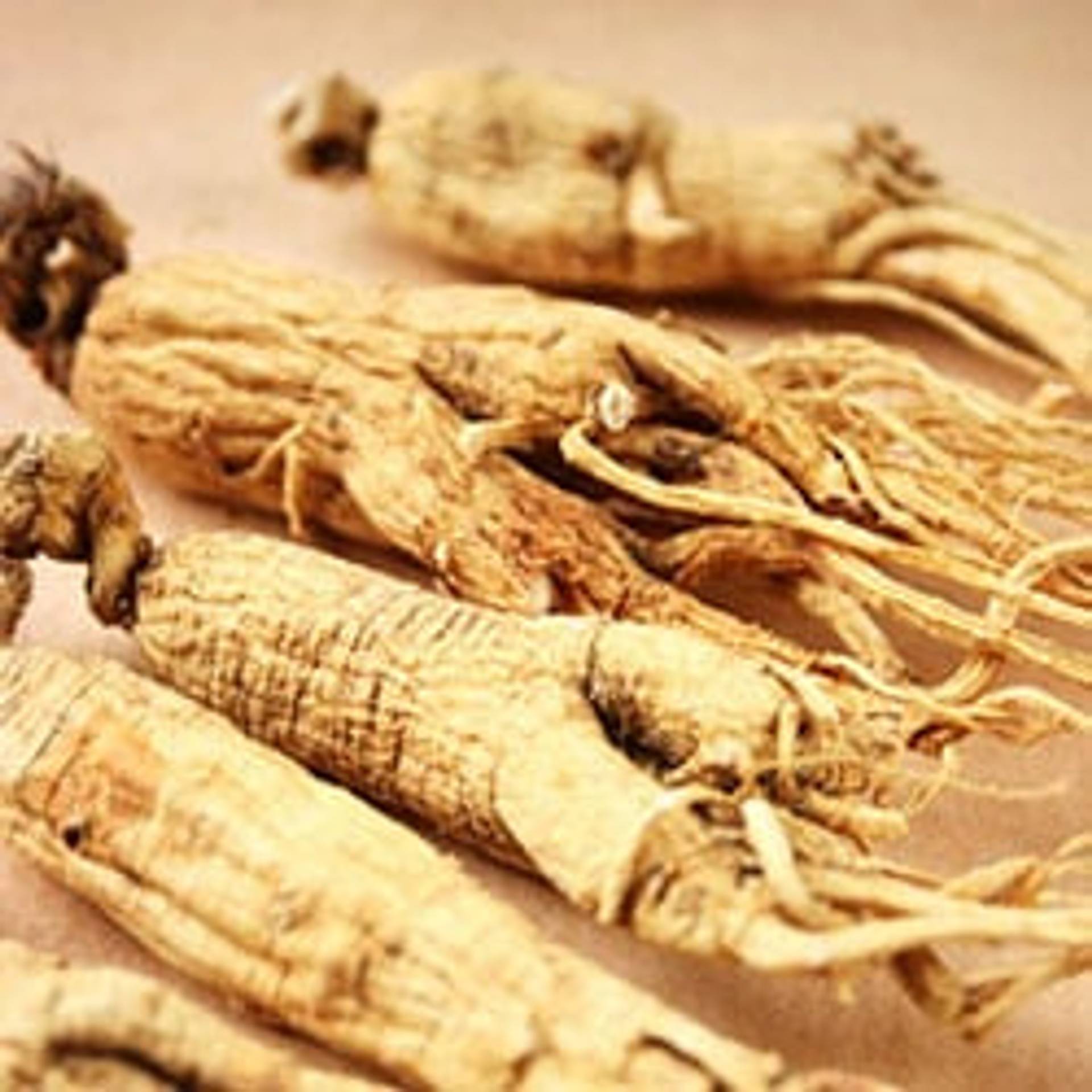 Ginseng.jpg