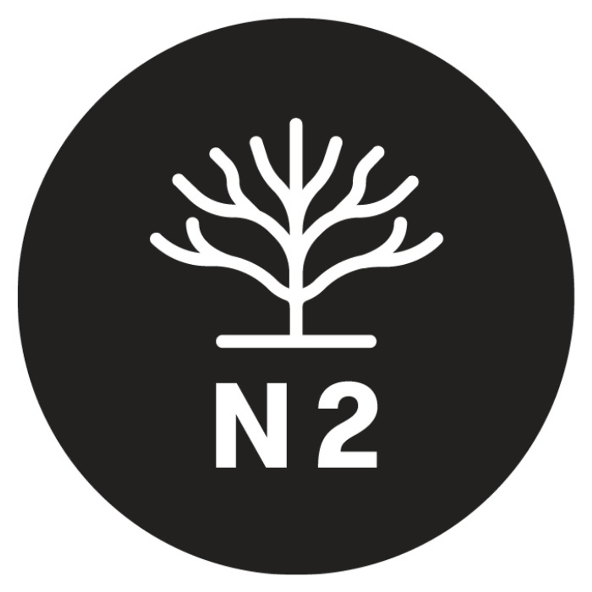 N2 logo square.png