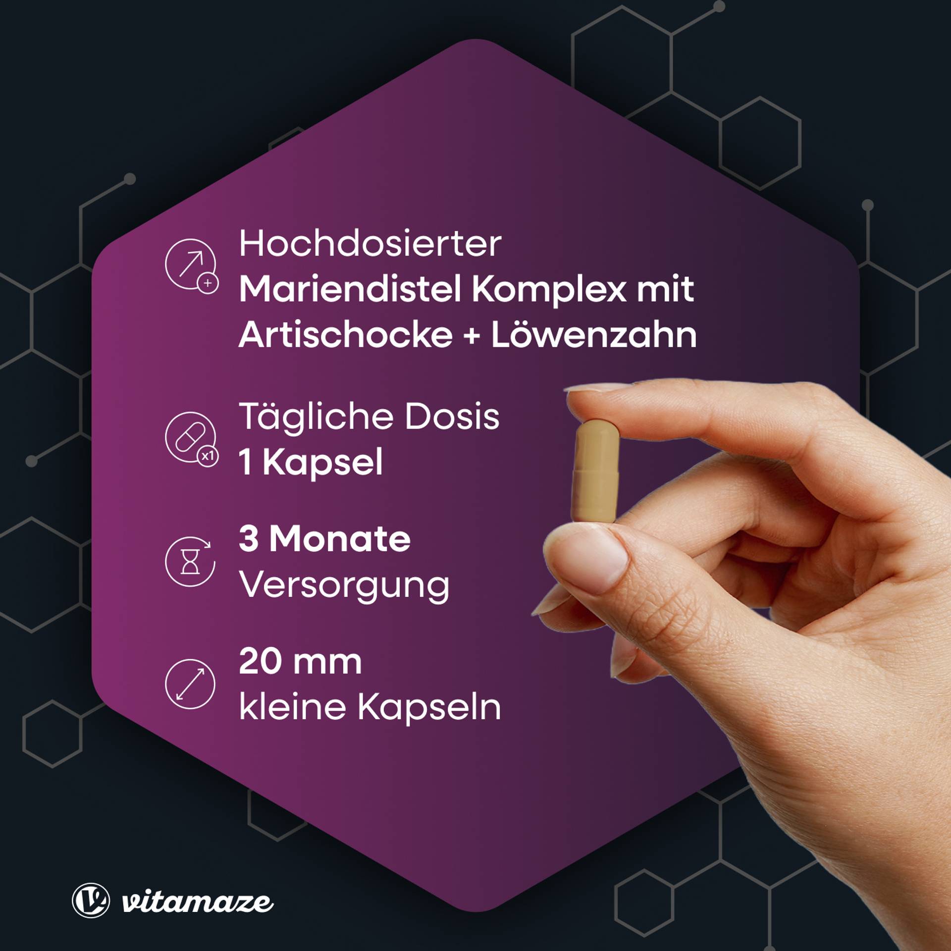 vitamaze_Mariendistel_Artischocke_Löwenzahn_Eigenschaften_1