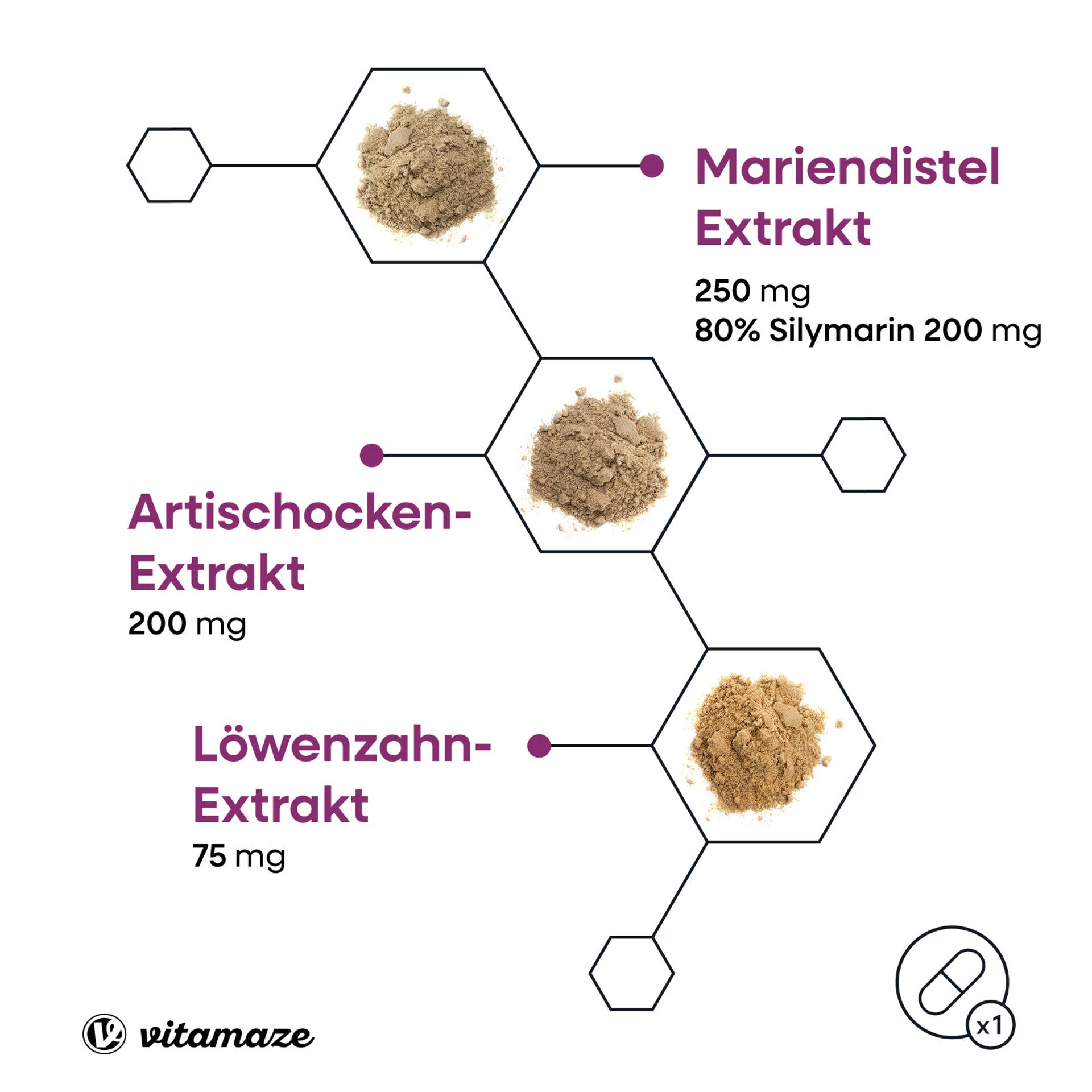 vitamaze_Mariendistel_Artischocke_Löwenzahn_Eigenschaften_2