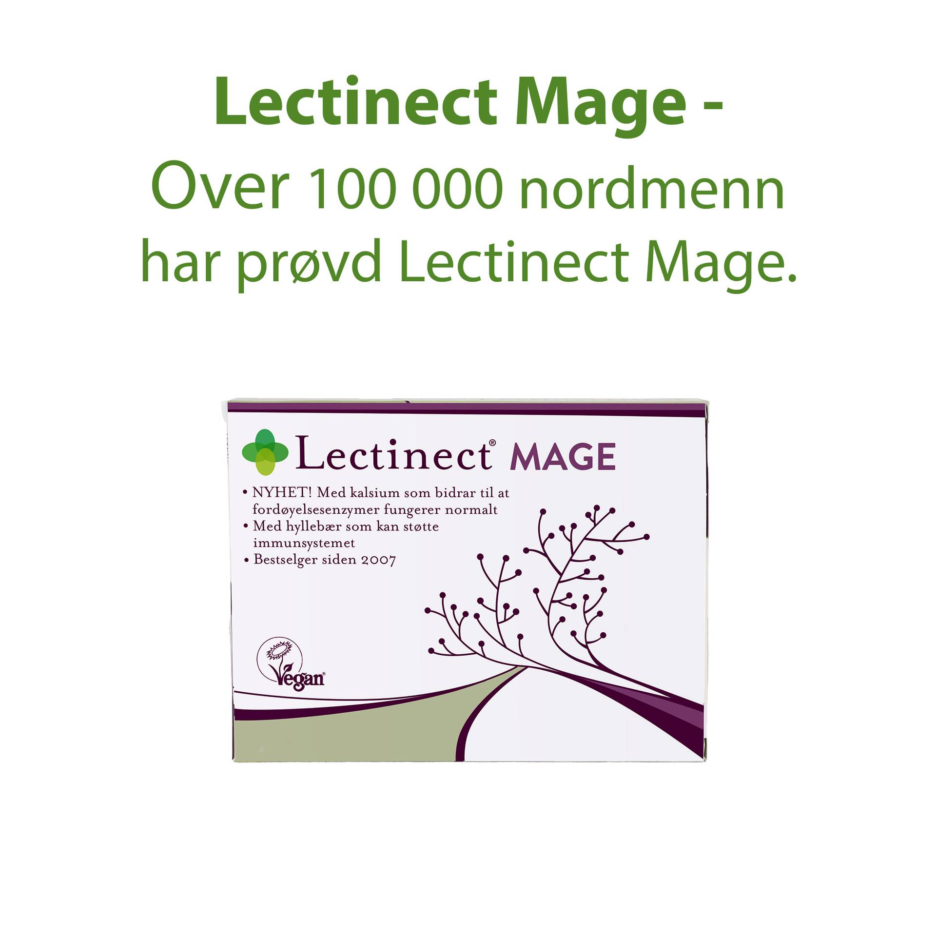 6_NO_Lectinect Mage.png