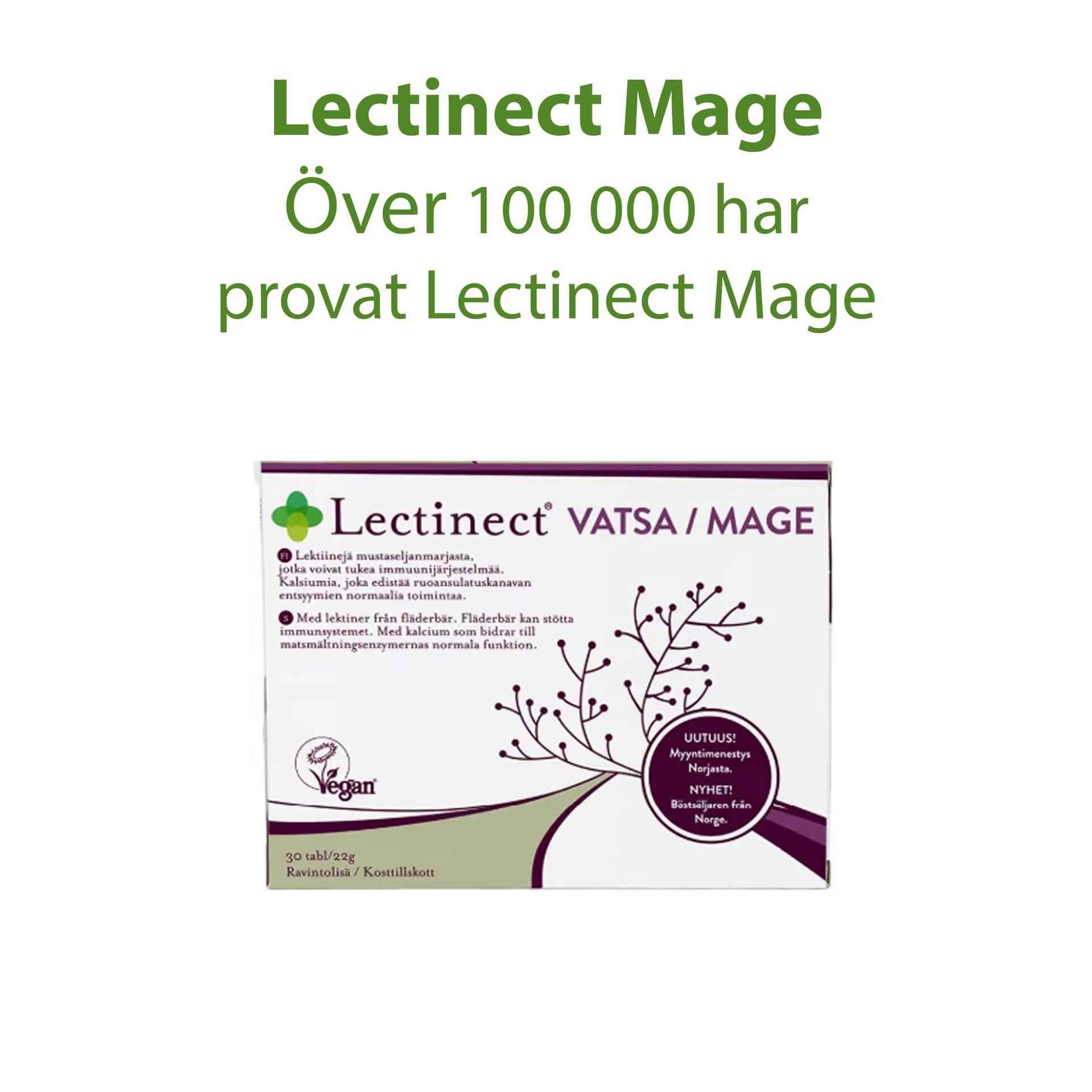 6_SE_Lectinect Mage.png