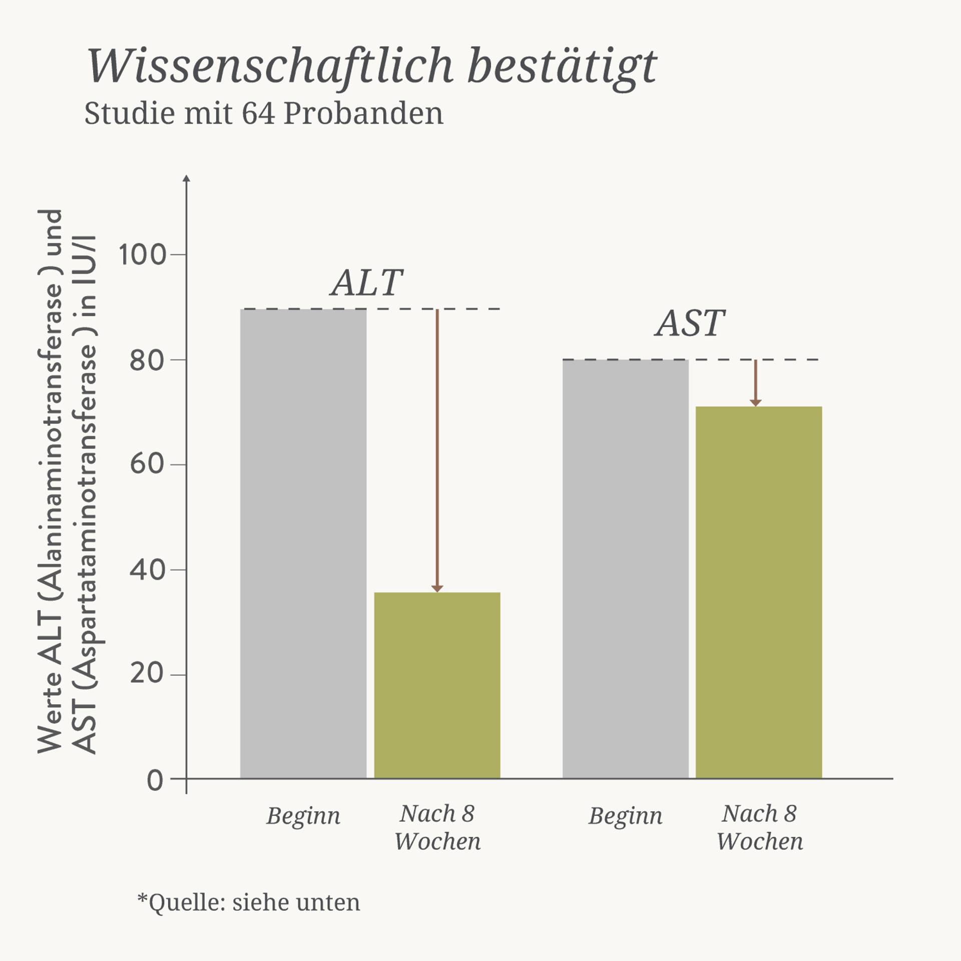 79508 Oxymel Leber Kräuter Auszug Studie.jpg