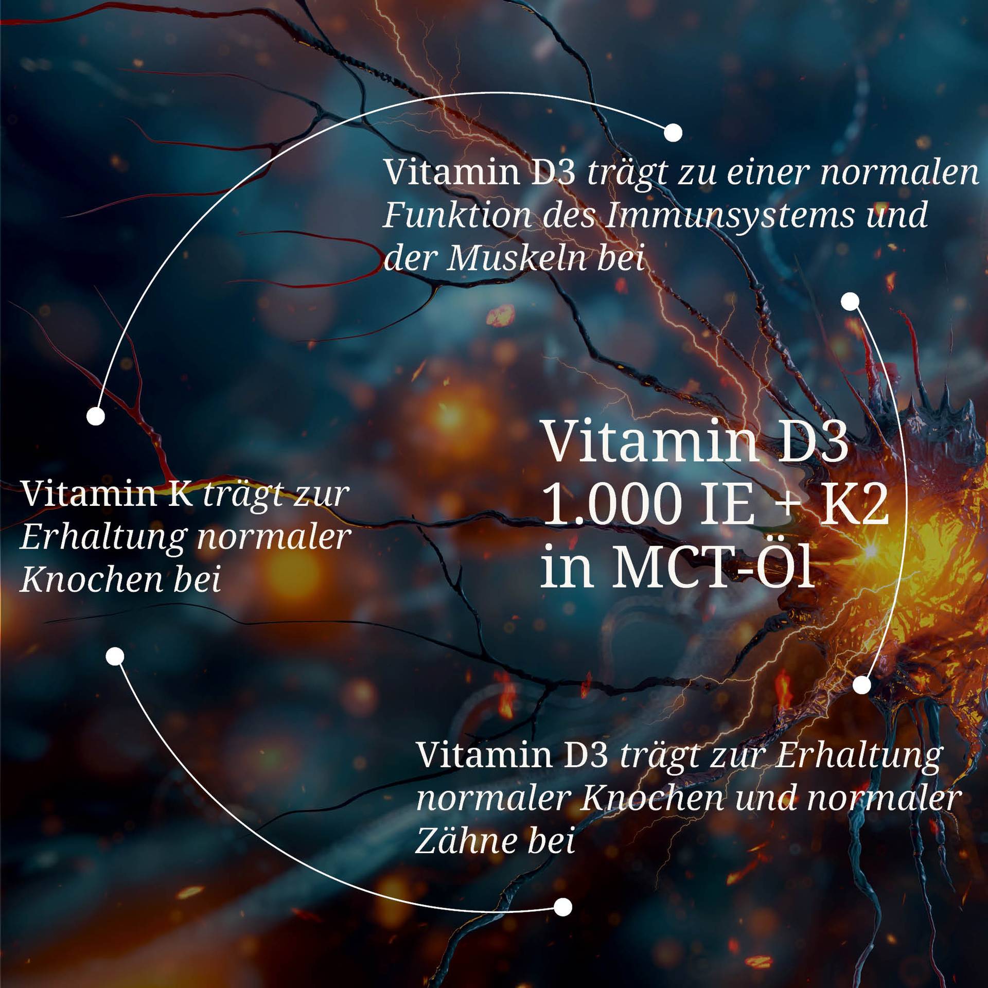 20250328_pdp Bilder Erik Vitamin D3 1.000 IE K2 in mct öl.jpg