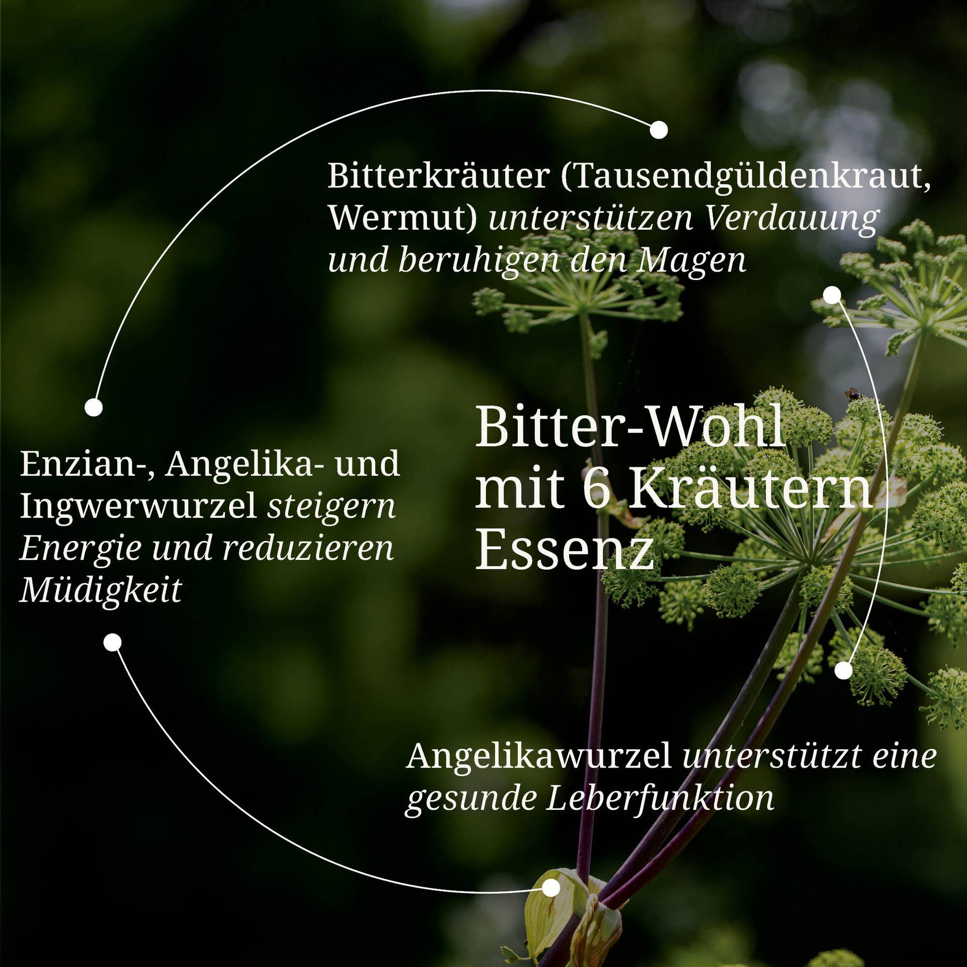 20250328_pdp Bilder Erik Bitter-Wohl mit 6 Kräuter Essenz.jpg
