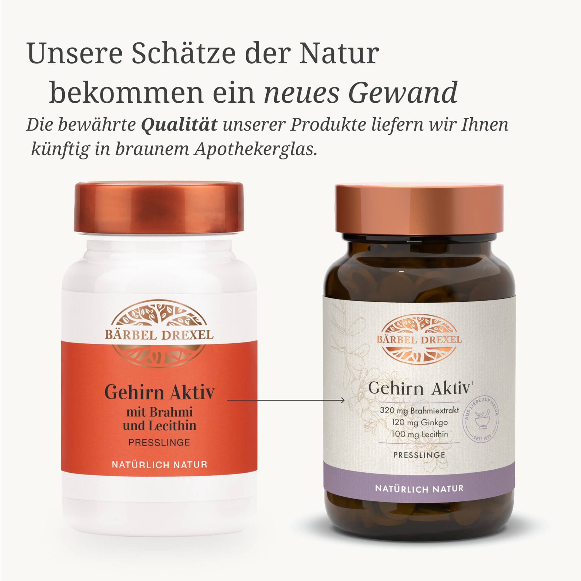 76863 Gehirn Aktiv Presslinge_48g_90St Wechseln.jpg