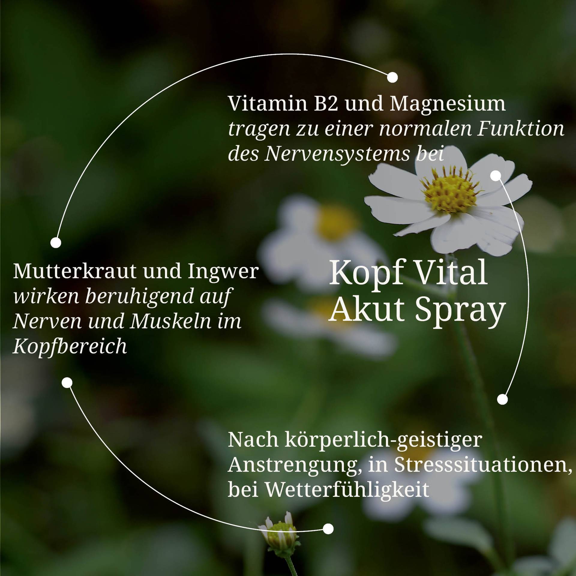 20250328_pdp Bilder Erik Kopf Vital Akut spray.jpg