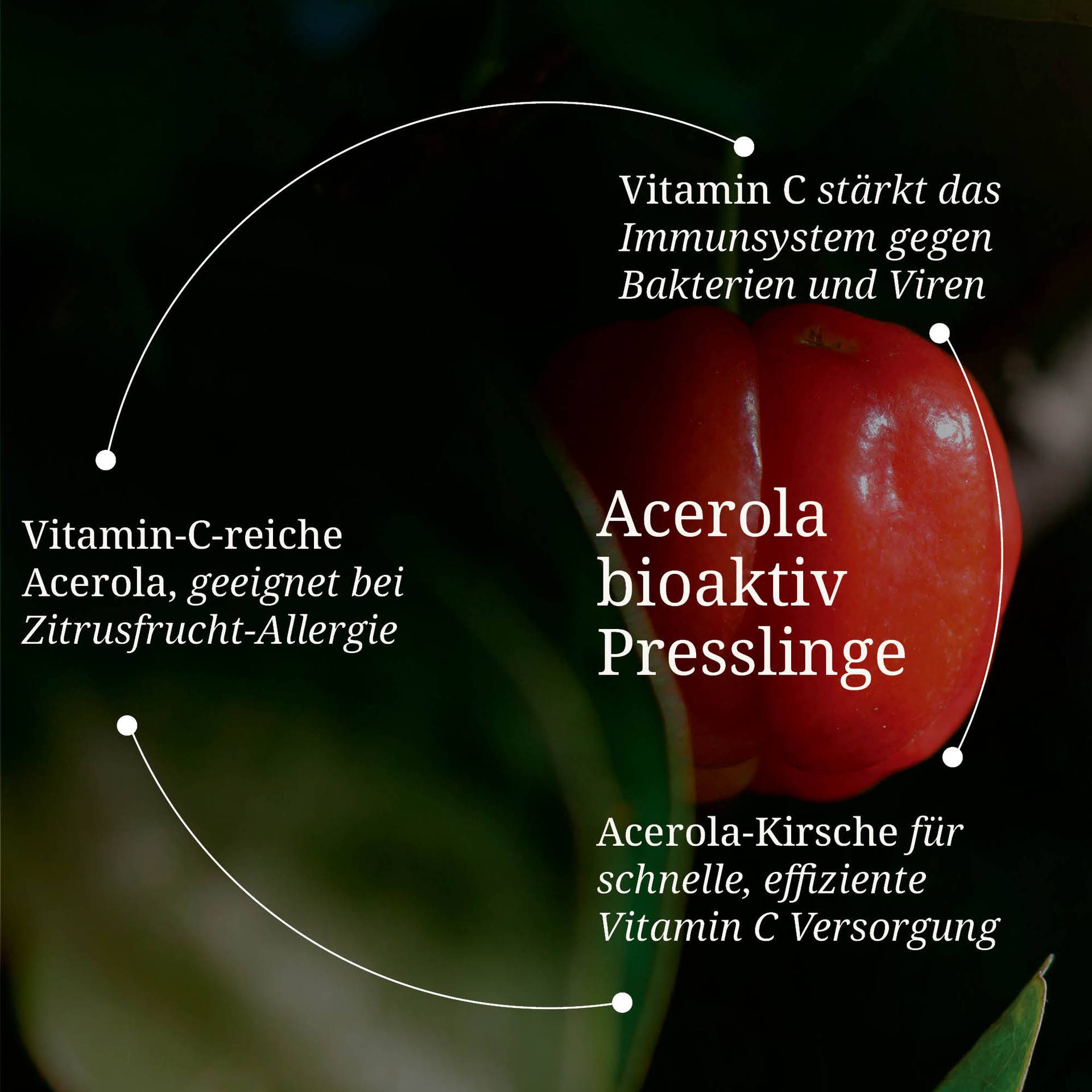 20250328_pdp Bilder Acerola bioaktiv Presslinge.jpg