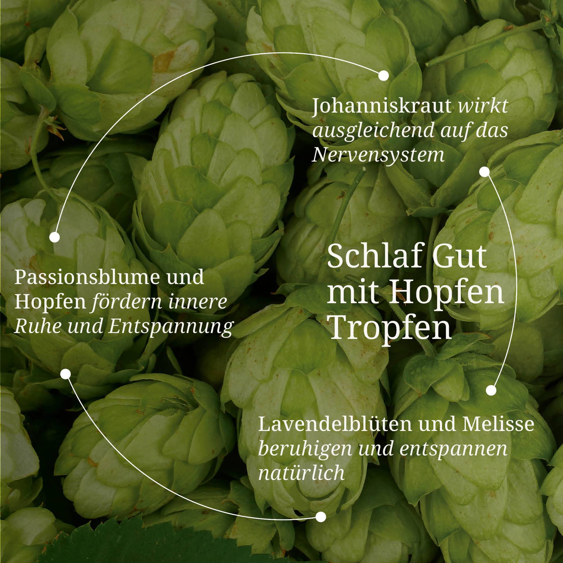 20250328_pdp Bilder Erik Schlaf Gut mit Hopfen Tropfen.jpg