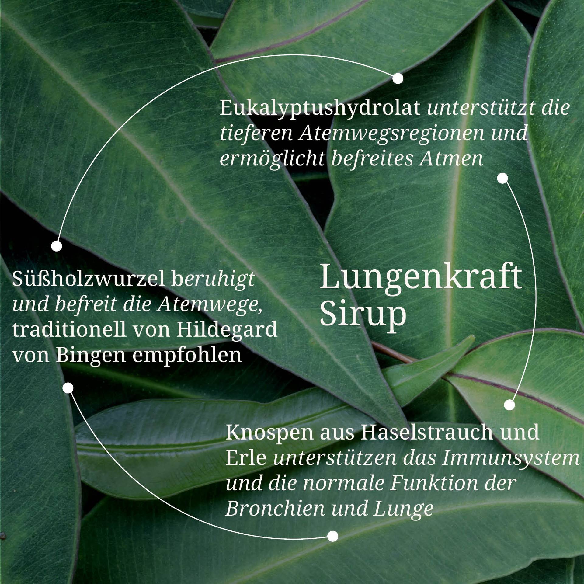 20250328_pdp Bilder Erik Lungenkraft Sirup.jpg