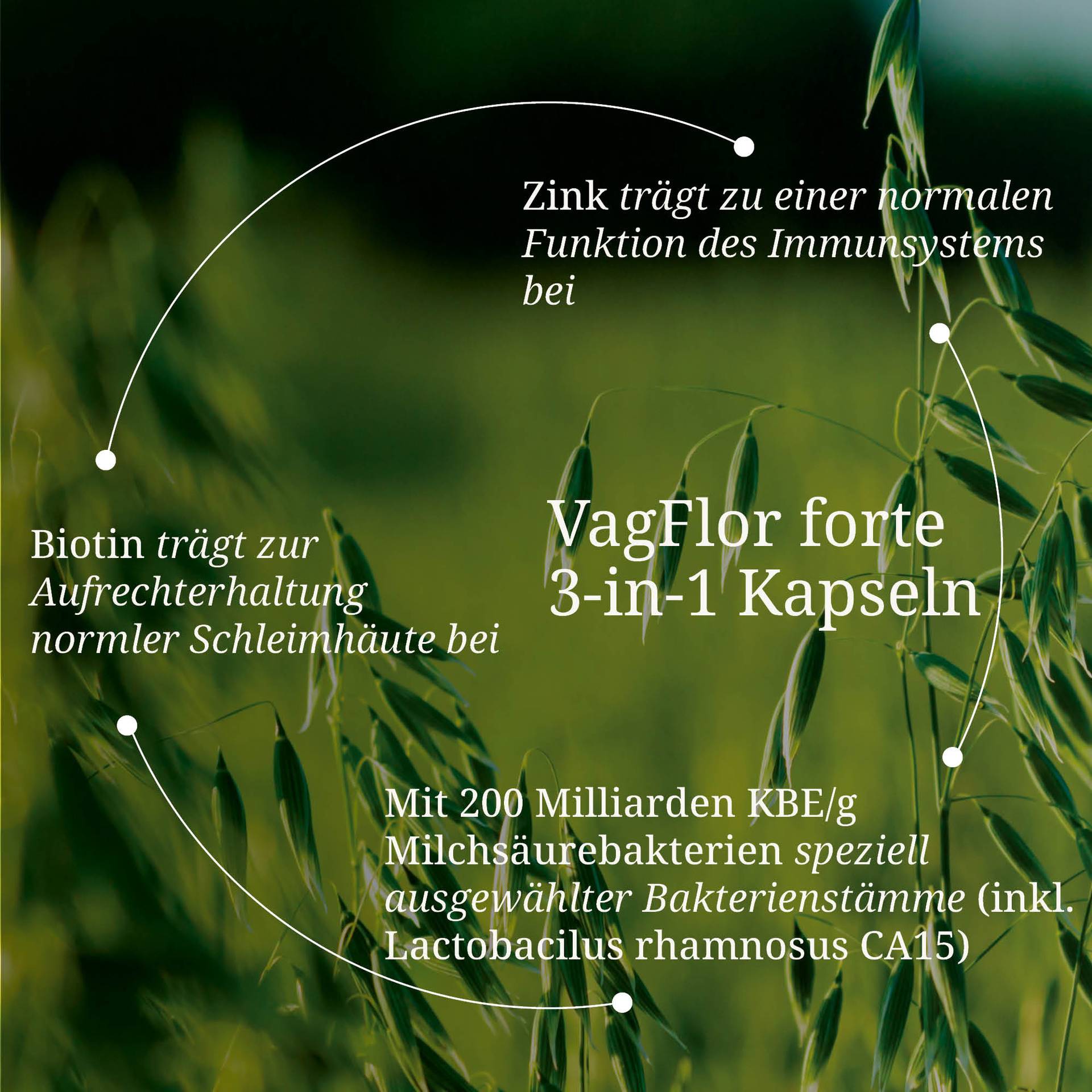 20250328_pdp Bilder Erik VagFlor forte 3-in-1 Kapseln.jpg