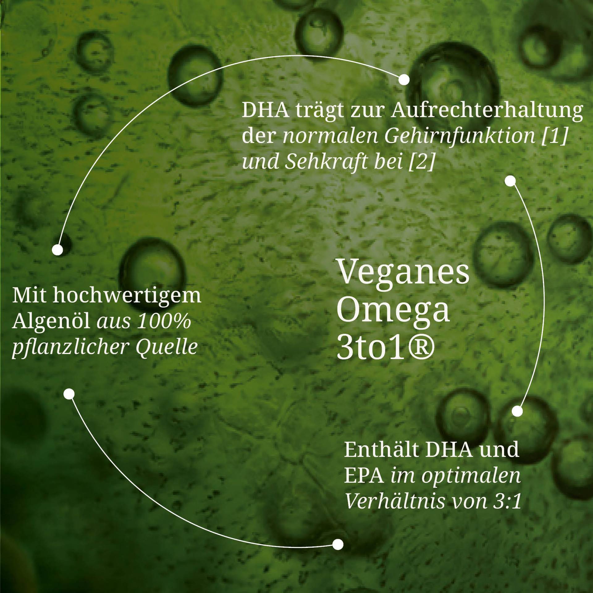 20250328_pdp Bilder veganes omega 3to1.jpg