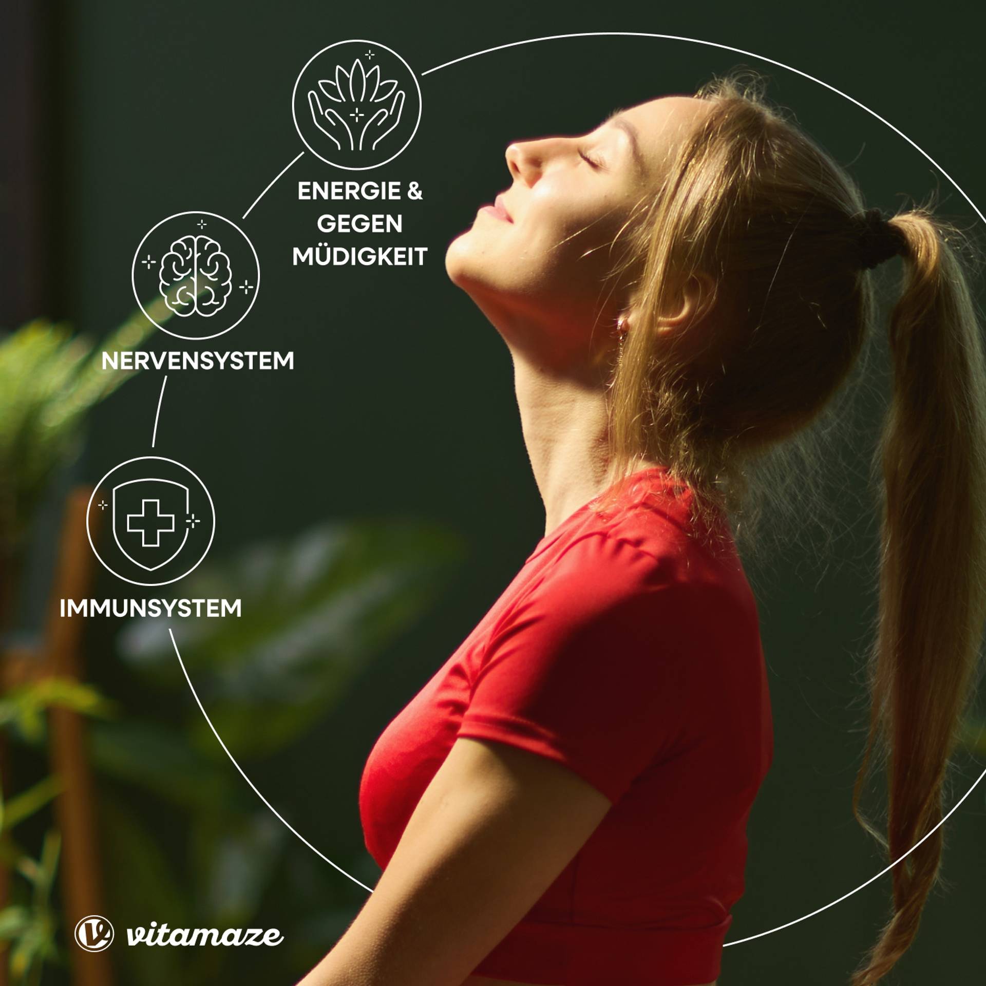 Vitamin_B12_500mcg_B9_B6_vorteile