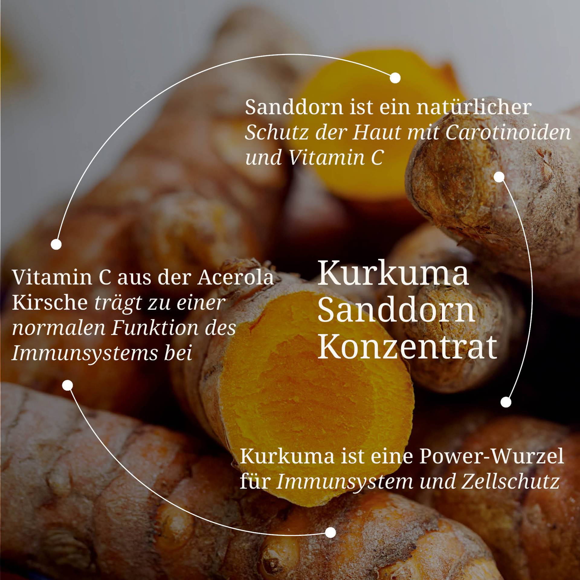 20250328_pdp Bilder Kurkuma Sanddorn Konzentrat.jpg