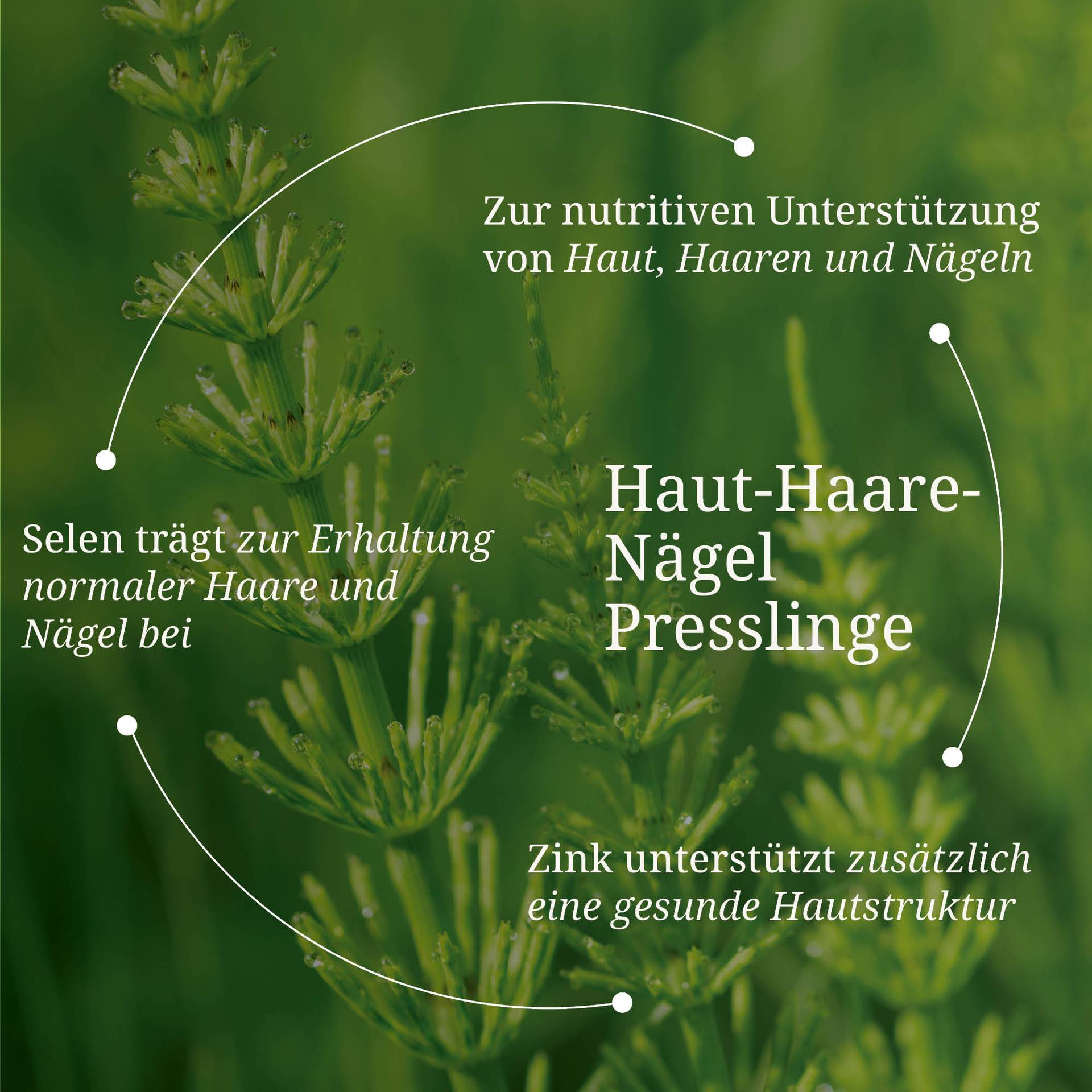 20250328_pdp Bilder Haut-Haare-Nägel Presslinge.jpg
