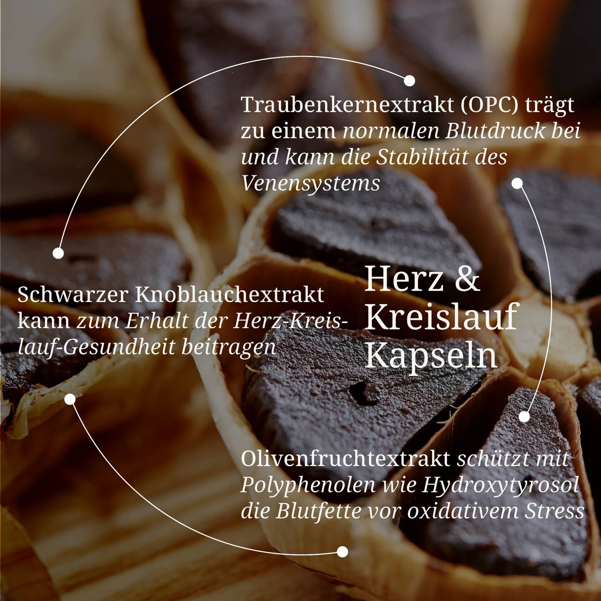 20250328_pdp Bilder Herz und Kreislauf Kapseln.jpg