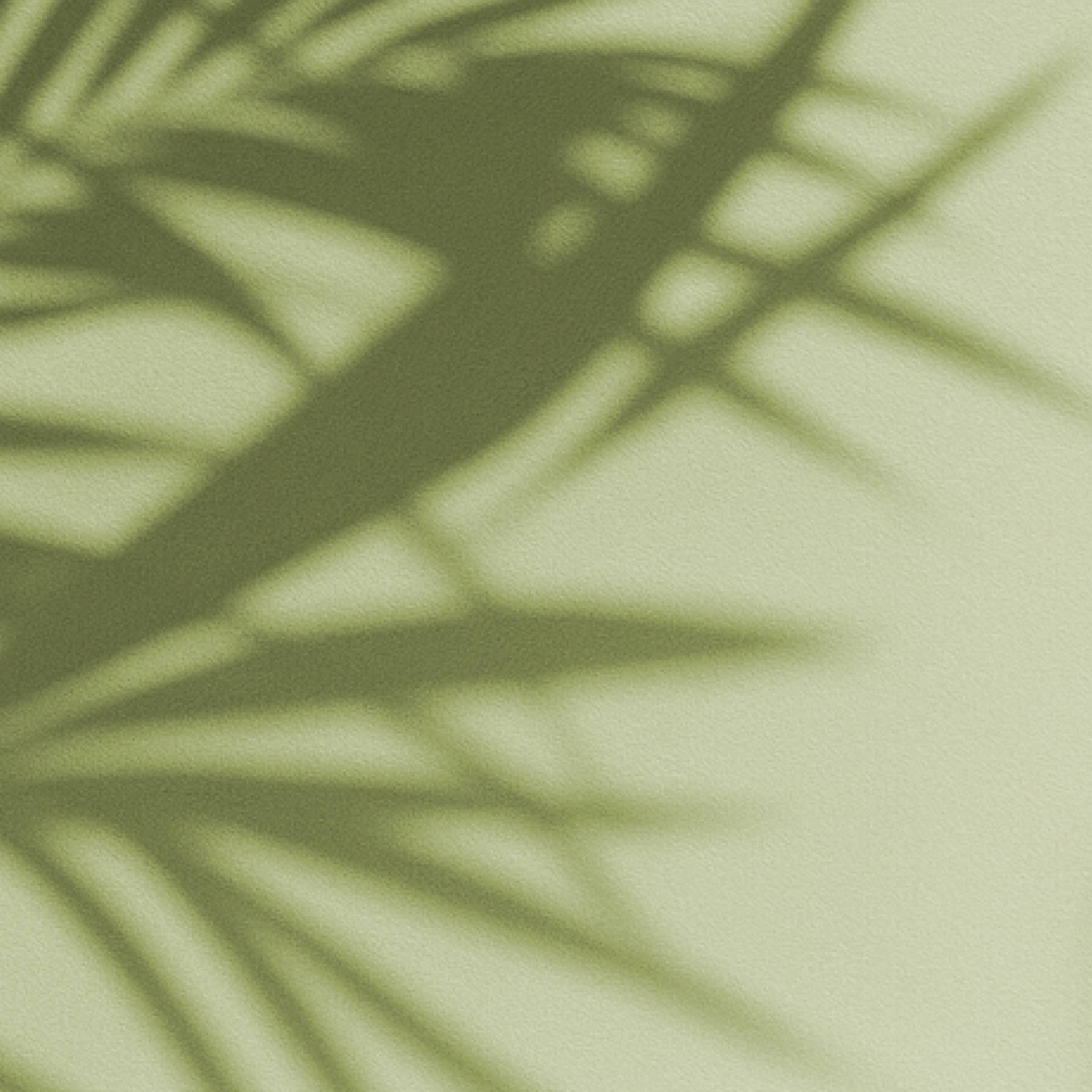 20250526_VE_summer_LP-joints_Mobile.jpg