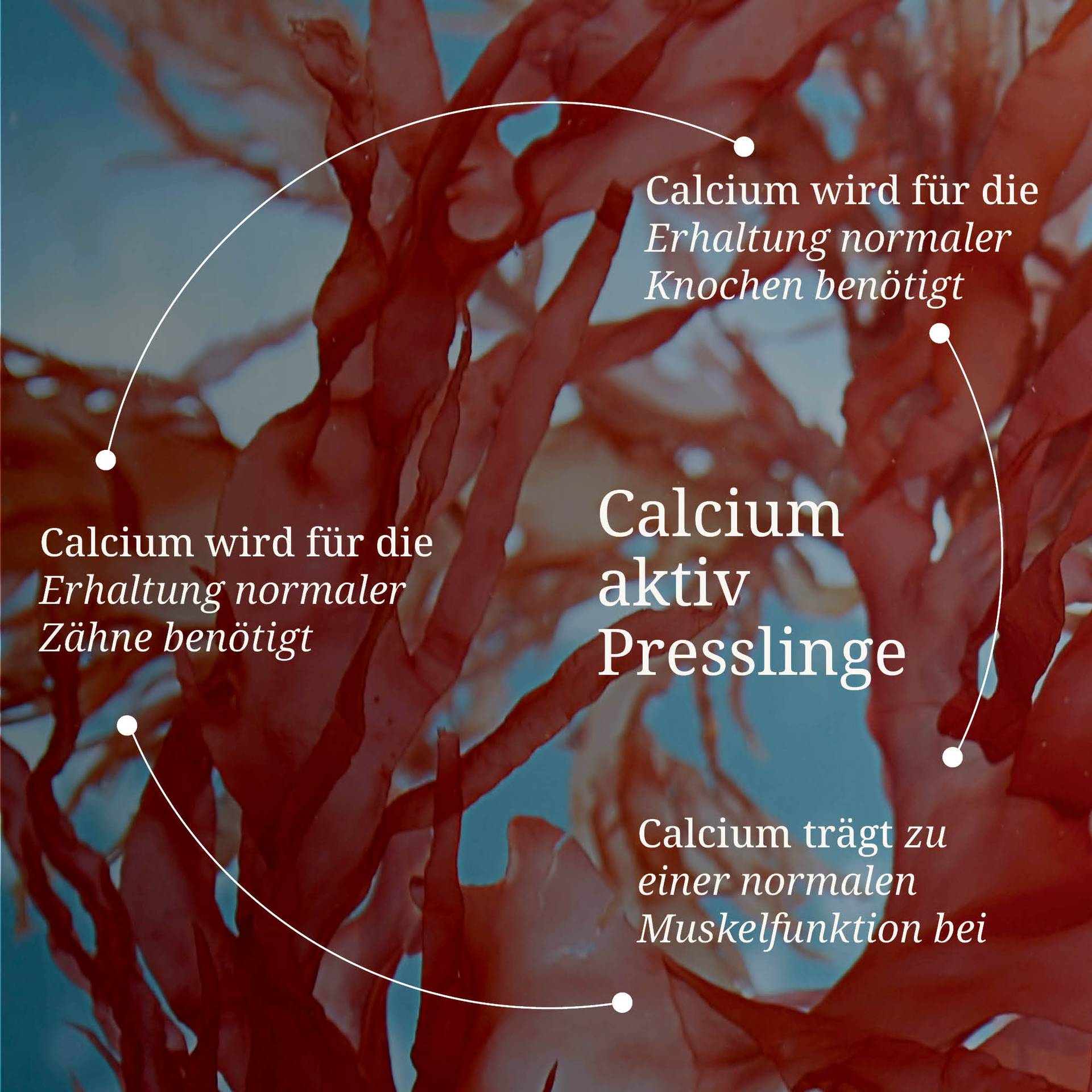 20250328_pdp Bilder Calcium aktiv Presslinge.jpg