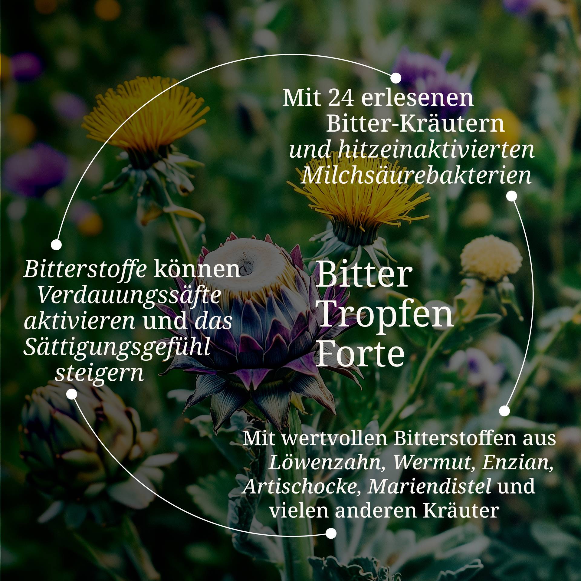 Bitter Tropfen Forte (1).jpg