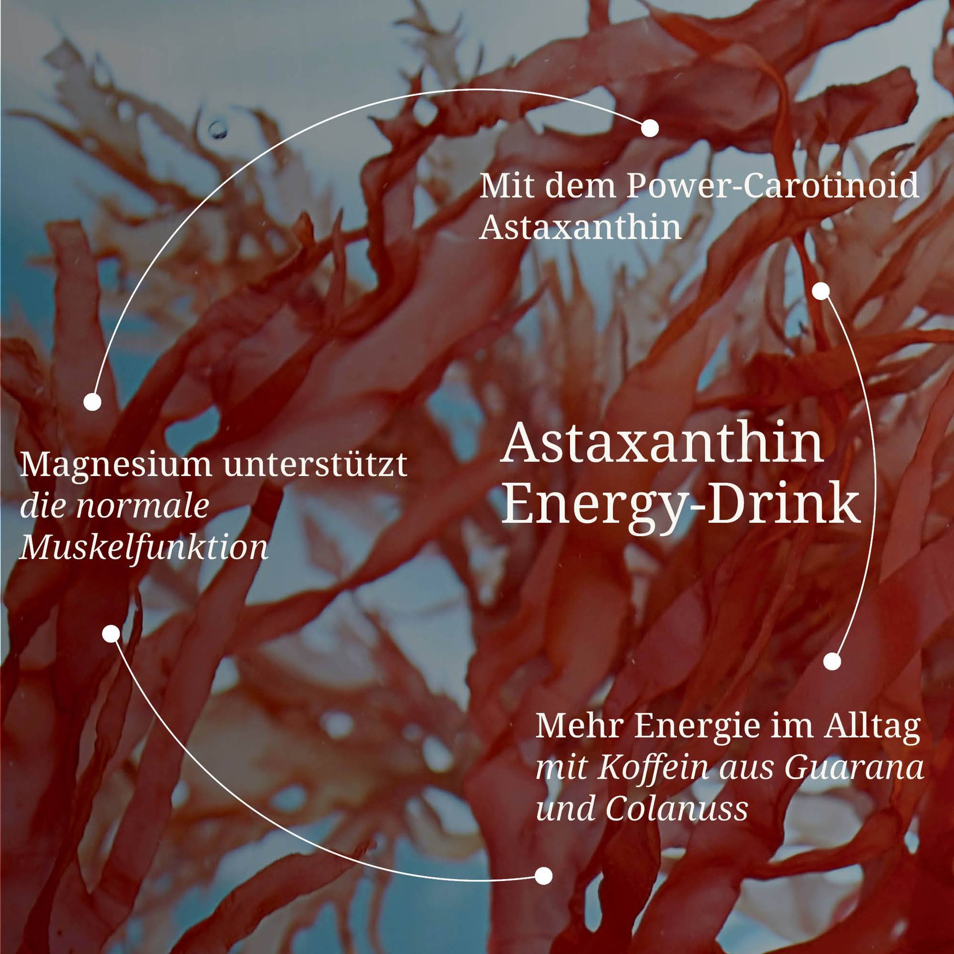 20250328_pdp Bilder Astaxanthin Energy Drink.jpg