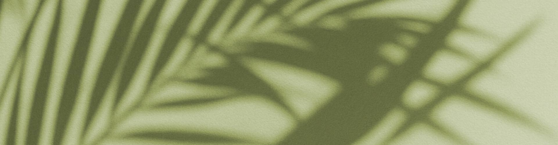 20250526_VE_summer_LP-joints_Desktop.jpg