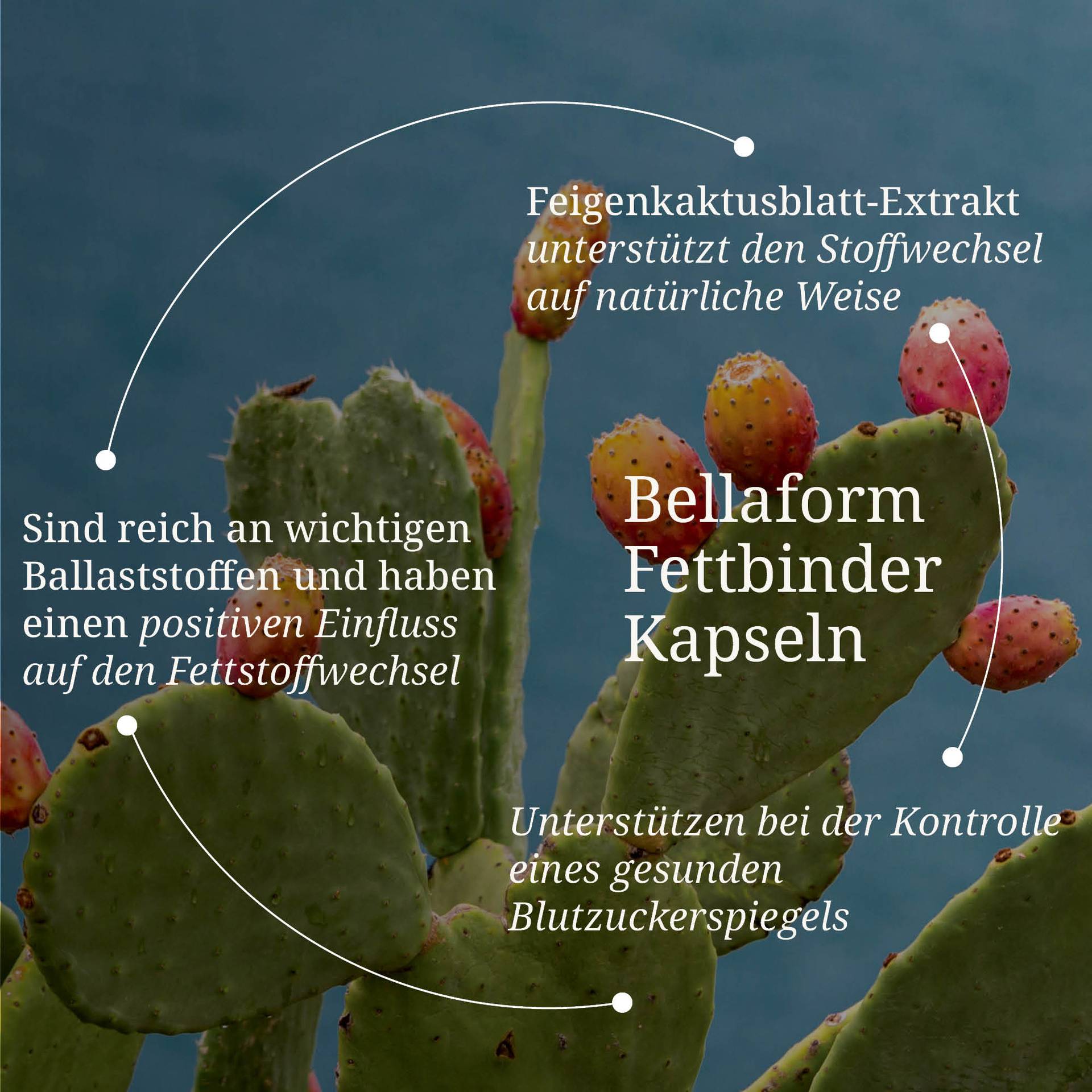 20250328_pdp Bilder Erik Bellaform Fettbinder Kapseln.jpg