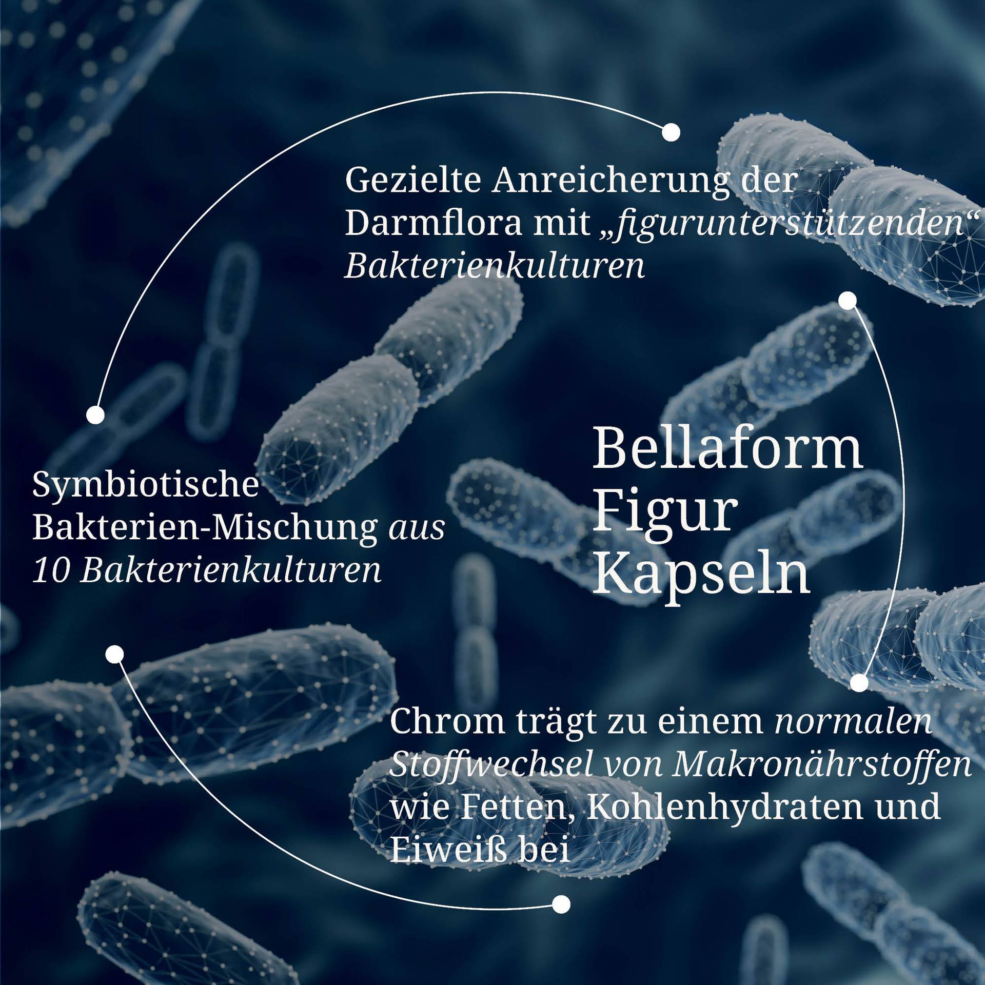 20250328_pdp Bilder Bellaform Figur Kapseln.jpg