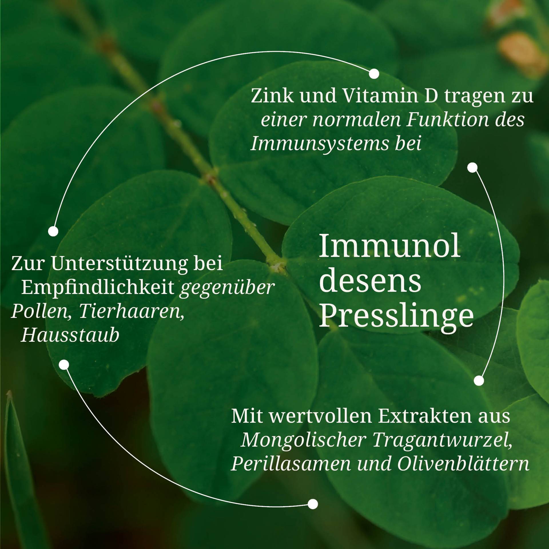 20250328_pdp Bilder Erik Immunol desens Presslinge.jpg