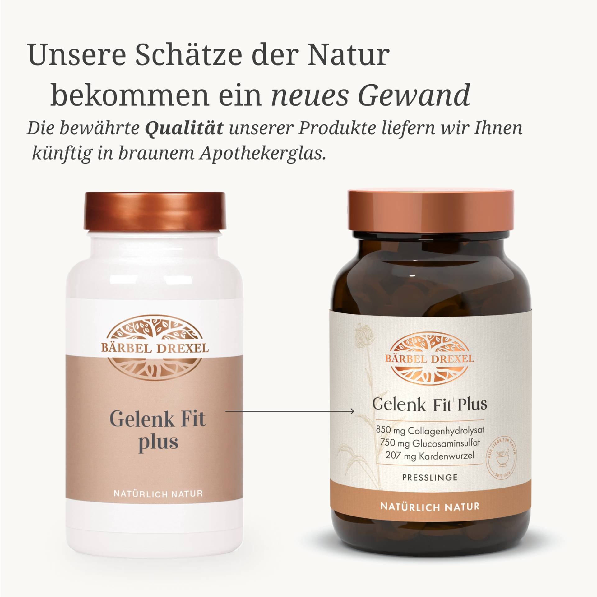 70213_Gelenk-Fit-Plus_Presslinge_96g_192St Wechesln.jpg