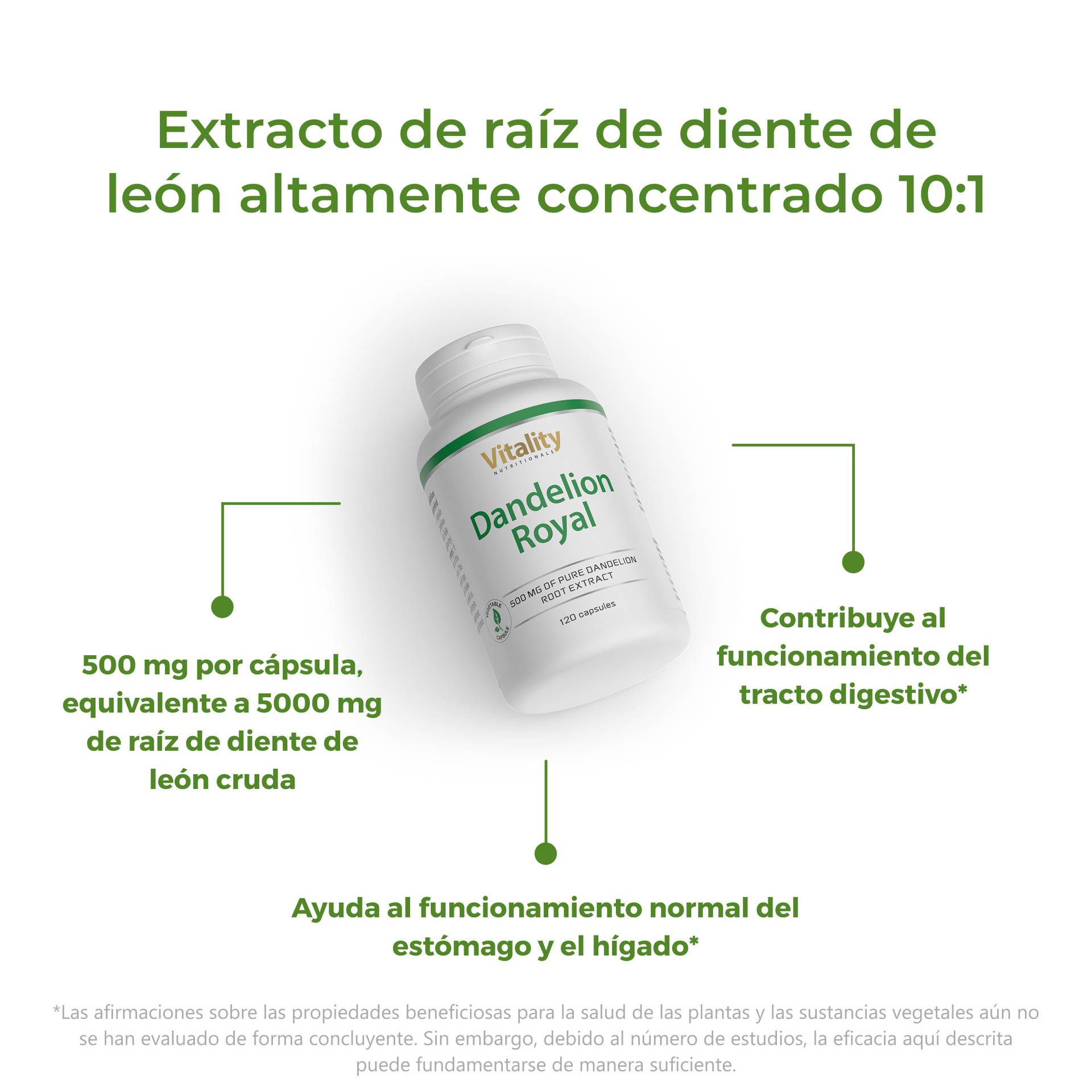Dandelion Royal Supports normal stomach and liver function