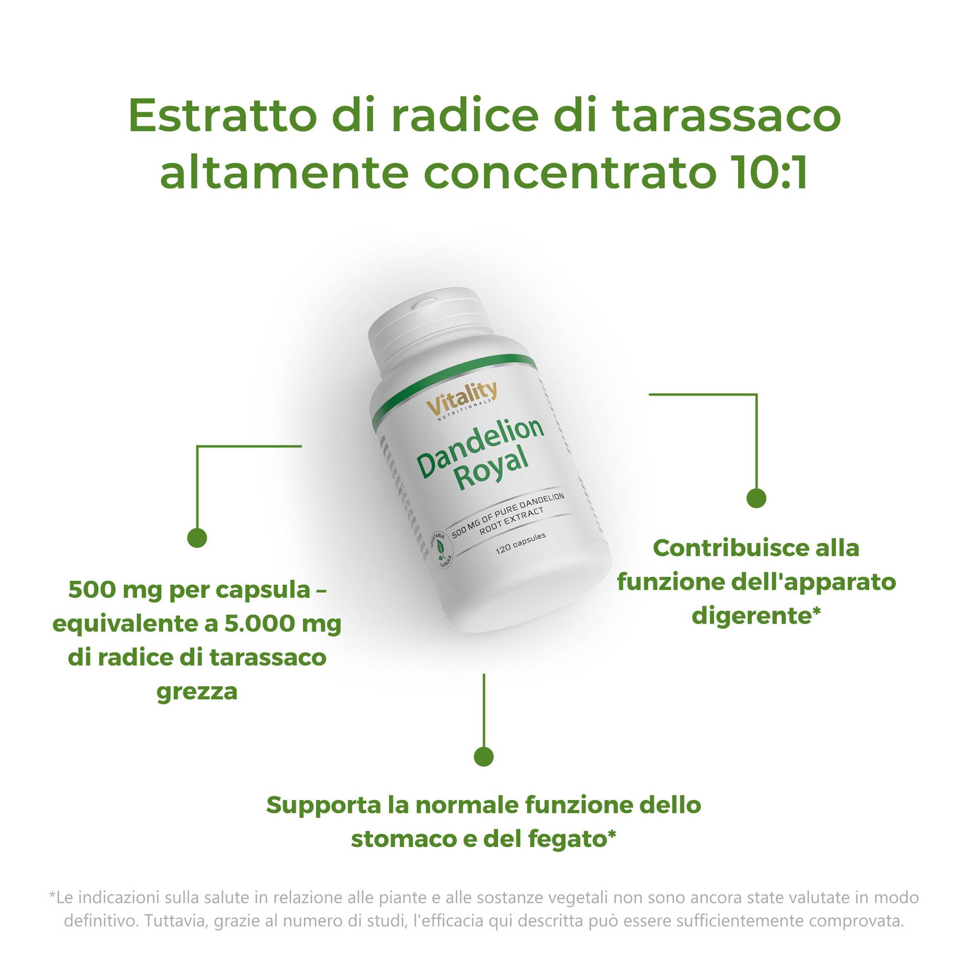 Dandelion Royal Supporta la normale funzione dello stomaco e del fegato