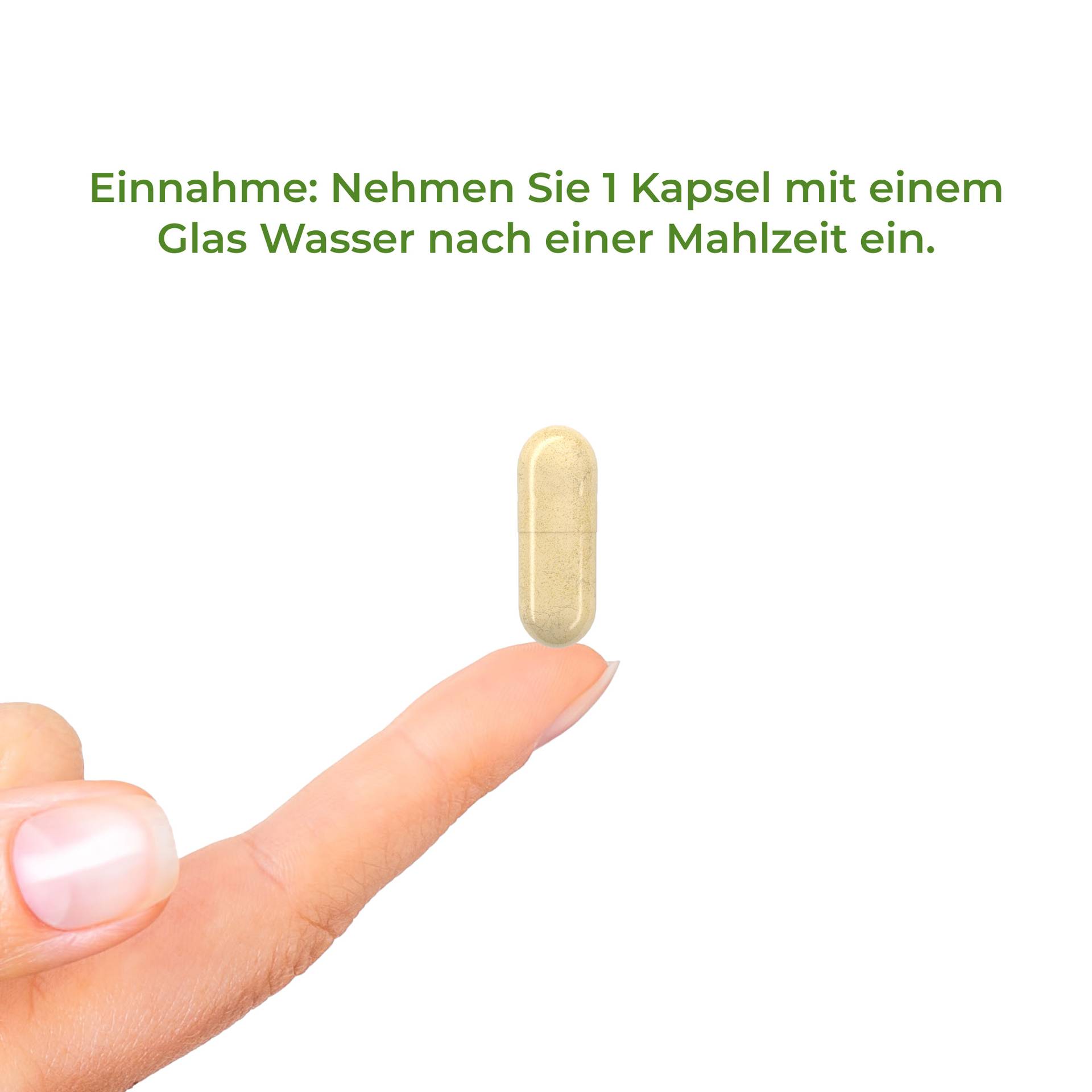 Dandelion Royal Einnahme: Nehmen Sie 1 Kapsel mit einem Glas Wasser nach einer Mahlzeit ein.
