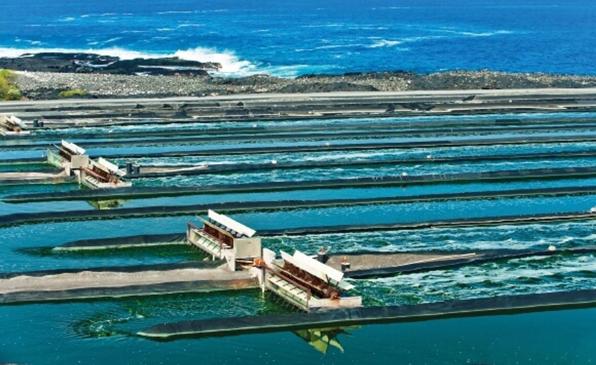 spirulina-meer-herstellung.jpg