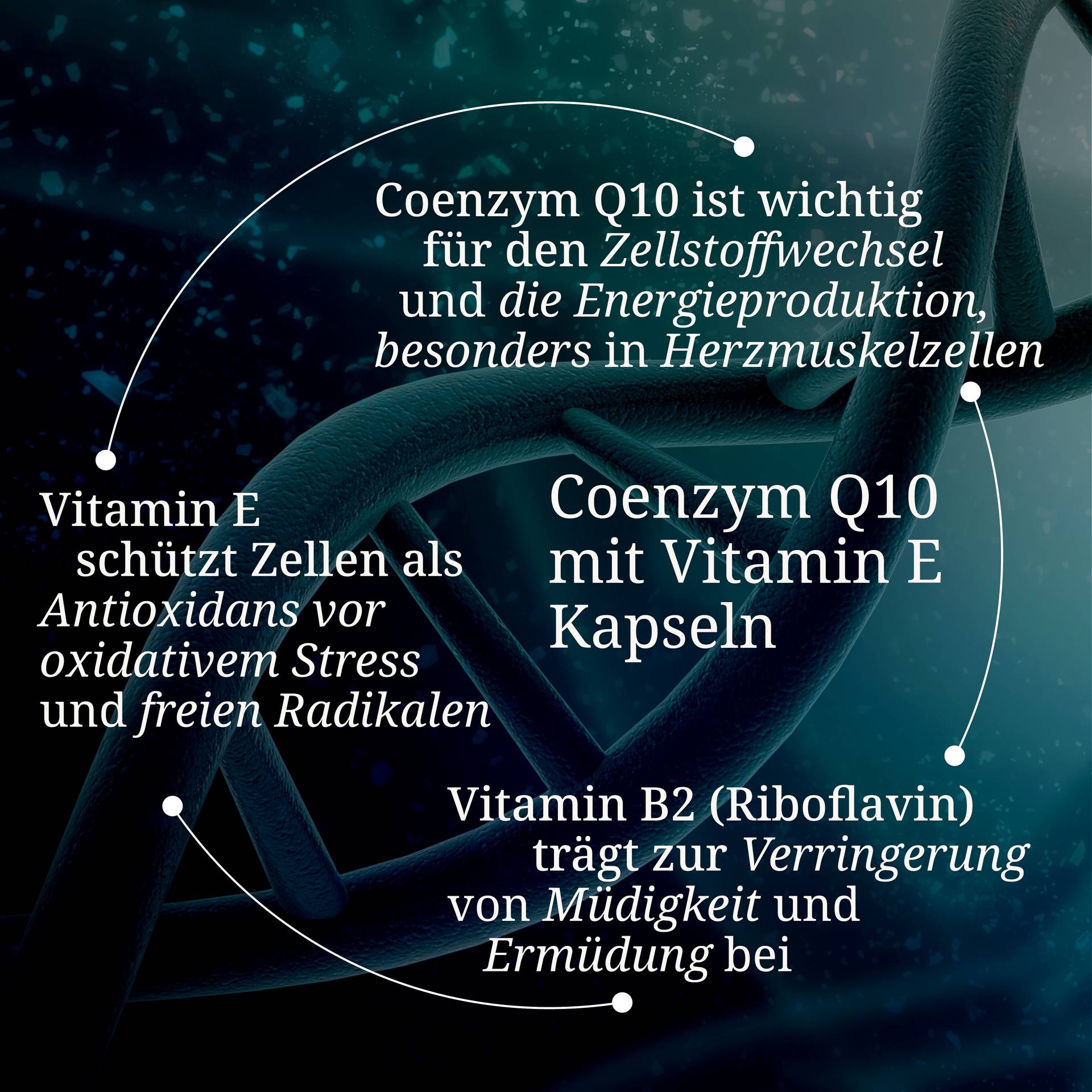 Coenzym Q10 mit Vitamin E Kapseln.jpg