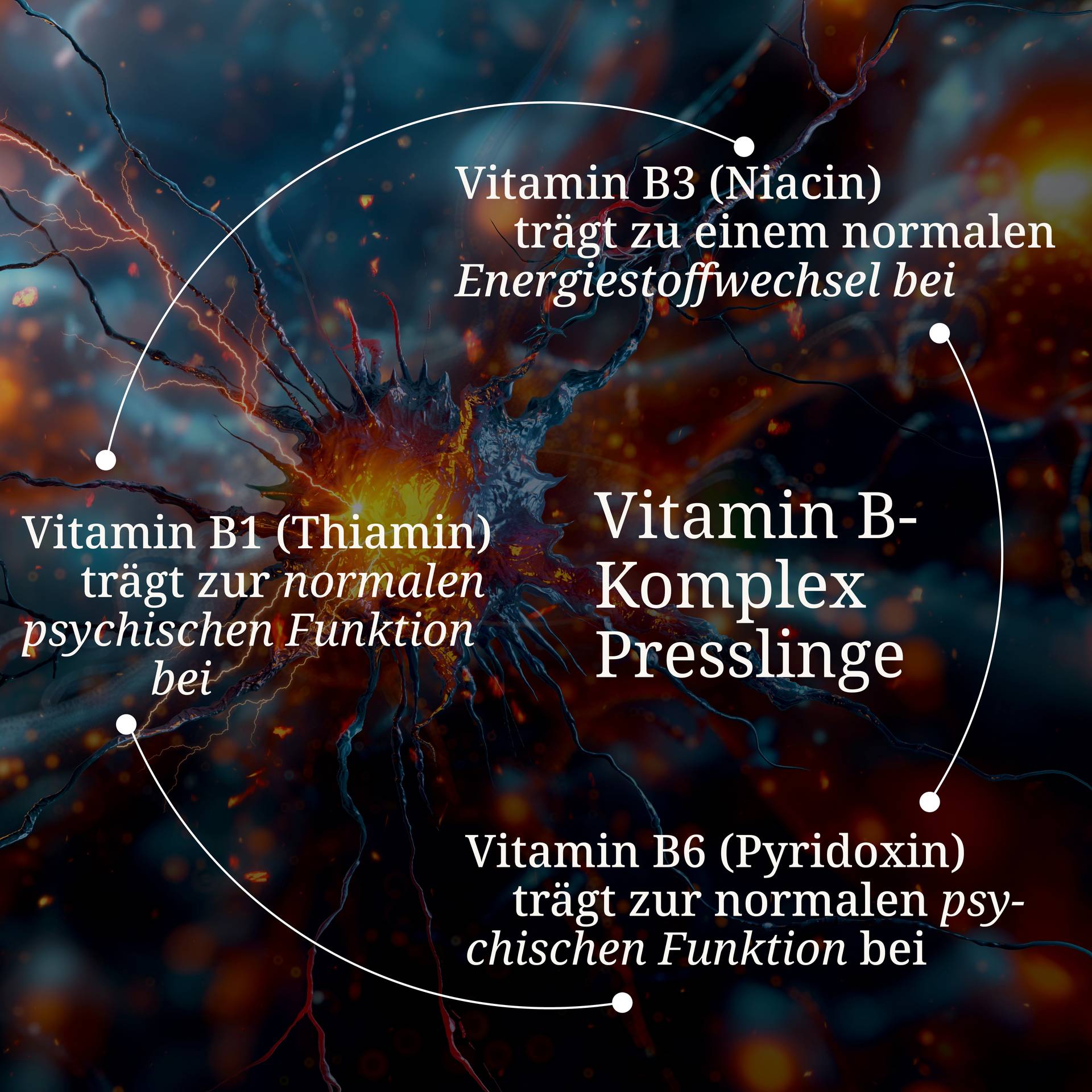 Vitamin B Komplex Presslinge.jpg