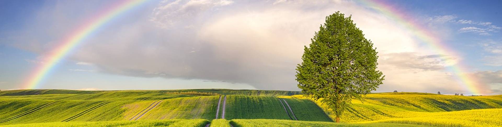 teaser-wetterfuehligkeit.jpg