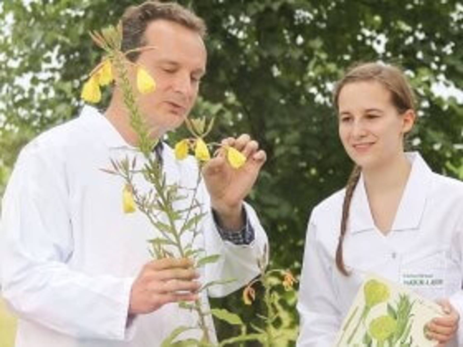 Naturheilwissen.jpg