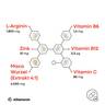 maca_4000_l-arginin_vitamine_zink_Eigenschaften_2