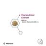 Mariendistel_Extrakt_Eigenschaften_2