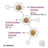 vitamaze_Mariendistel_Artischocke_Löwenzahn_Eigenschaften_2