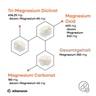 Magnesium_Komplex_DE_Eigenschaften_2