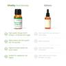 UltraPure Vegan Omega 3to1 Hochwertiges, veganes Omega 3 Öl aus Algen