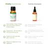 UltraPure Vegan Omega 3to1 High-quality vegan omega-3 oil derived from algae