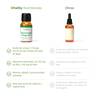 UltraPure Vegan Omega 3to1 Une huile d’oméga-3 végétalienne de haute qualité, extraite d’algues