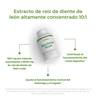 Dandelion Royal Supports normal stomach and liver function